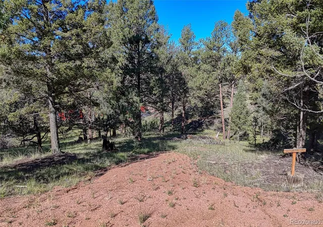Land for sale at 91 Utah Way, Florissant, CO 80816 | MLS# 9566604