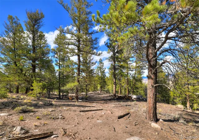 Photo 3 of Land for sale at 501 Reva Ridge Rd, Twin Lakes, CO 81251 | MLS# 4213172 | Listing updated on 2026-09-28
