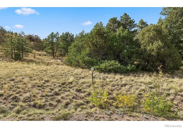 Photo 3 of Land for sale at Tbd Juniper Ct, Red Feather Lakes, CO 80545 | MLS# IR1069240 | Listing updated on 2026-09-25