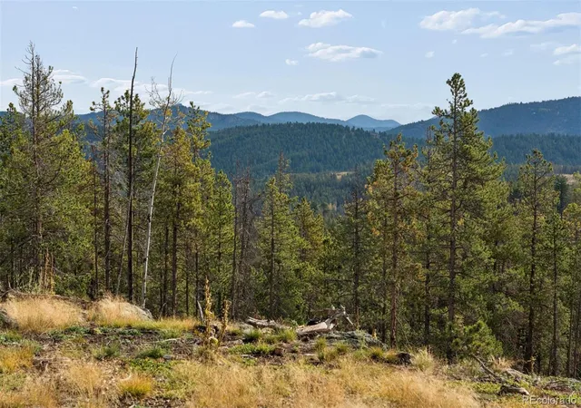 Photo 3 of Land for sale at 8570 S Warhawk Rd, Conifer, CO 80433 | MLS# 1626046 | Listing updated on 2026-09-29