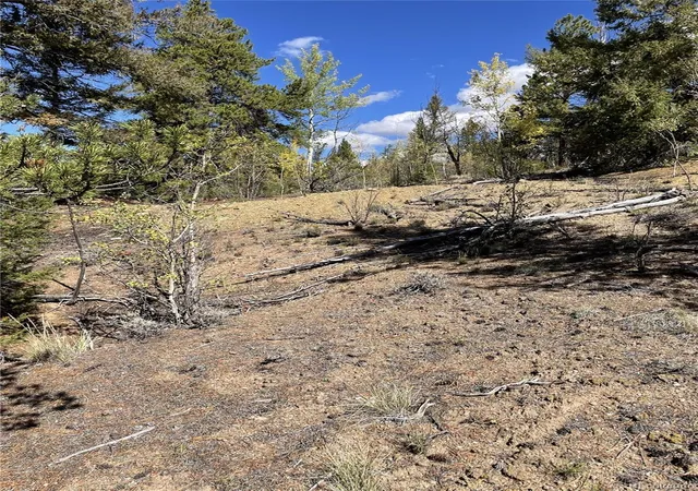 Photo 3 of Land for sale at 000 County Rd 396, Granite, CO 81228 | MLS# 3282776 | Listing updated on 2026-09-24