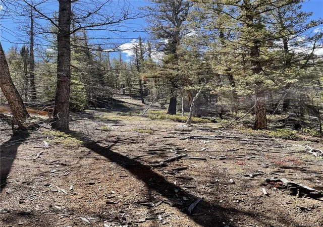 Photo 3 of Land for sale at 000 County Rd 396, Granite, CO 81228 | MLS# 3282776 | Listing updated on 2026-09-24