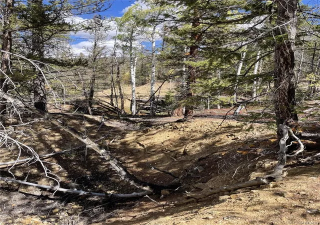 Photo 4 of Land for sale at 000 County Rd 396, Granite, CO 81228 | MLS# 3282776 | Listing updated on 2026-09-24