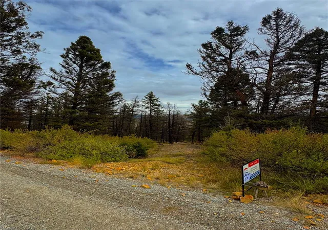 Land for sale at 000 Middlefork Vista, Fairplay, CO 80440 | MLS# 9252371