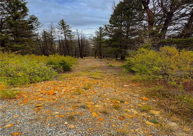 Photo 1 of Land for sale at 000 Middlefork Vista, Fairplay, CO 80440 | MLS# 9252371 | Listing updated on 2026-09-25
