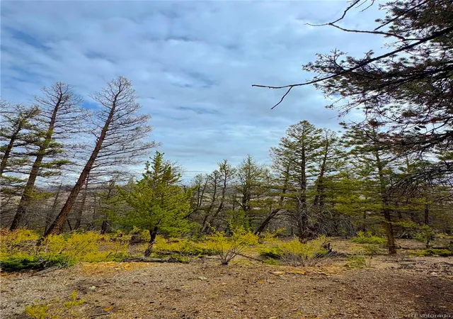 Photo 2 of Land for sale at 000 Middlefork Vista, Fairplay, CO 80440 | MLS# 9252371 | Listing updated on 2026-09-25