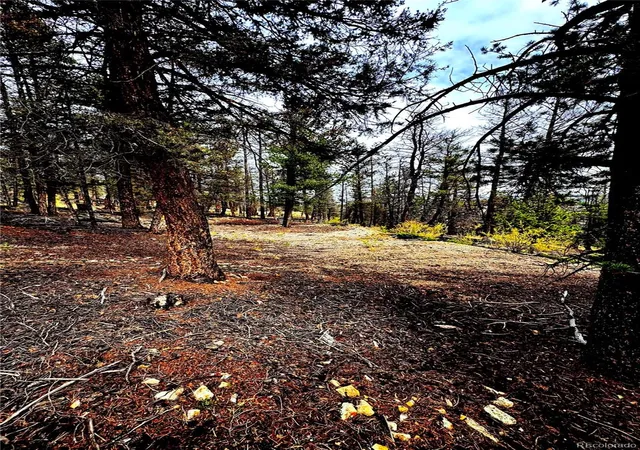 Photo 3 of Land for sale at 000 Middlefork Vista, Fairplay, CO 80440 | MLS# 9252371 | Listing updated on 2026-09-25