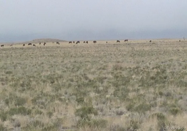 Photo 2 of Land for sale at Arriba Rd, Blanca, CO 81123 | MLS# 7338709 | Listing updated on 2026-09-24