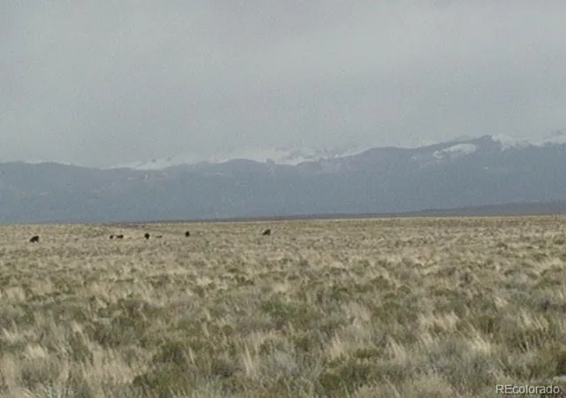 Photo 3 of Land for sale at Dove Rd, Blanca, CO 81123 | MLS# 5869081 | Listing updated on 2026-09-24