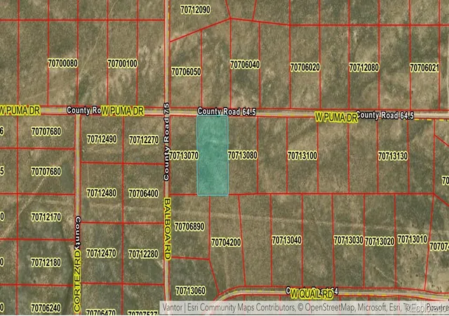 Land for sale at Lot 14 Puma Dr, Fort Garland, CO 81133 | MLS# 5482426