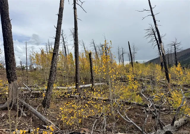 Photo 2 of Land for sale at Lot 1797 Marr Loop, Fort Garland, CO 81133 | MLS# 2555318 | Listing updated on 2026-09-24