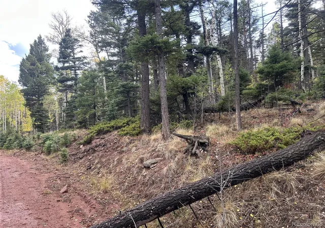 Photo 2 of Land for sale at 2954 Larry Pl, Fort Garland, CO 81133 | MLS# 5847548 | Listing updated on 2026-09-26