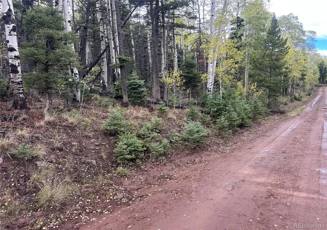 Photo 3 of Land for sale at 2954 Larry Pl, Fort Garland, CO 81133 | MLS# 5847548 | Listing updated on 2026-09-26