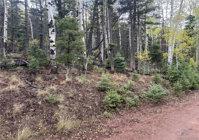 Photo 3 of Land for sale at 2954 Larry Pl, Fort Garland, CO 81133 | MLS# 5847548 | Listing updated on 2026-09-26