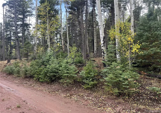 Photo 4 of Land for sale at 2954 Larry Pl, Fort Garland, CO 81133 | MLS# 5847548 | Listing updated on 2026-09-26