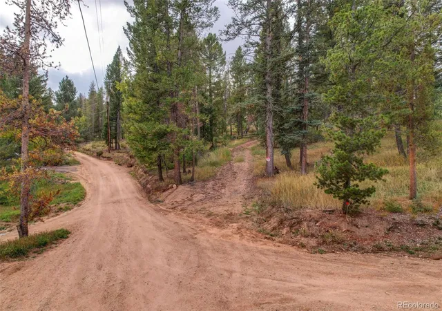 Photo 4 of Land for sale at 27687 Pine Grv Trl, Conifer, CO 80433 | MLS# 5764250 | Listing updated on 2026-10-06