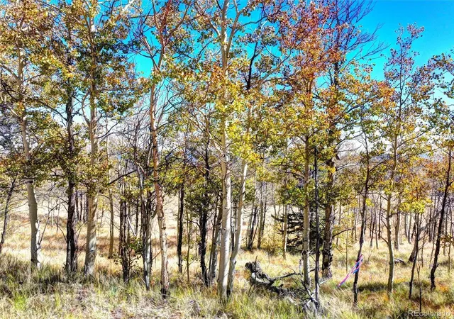 Photo 3 of Land for sale at 74 Antelope Cir, Como, CO 80432 | MLS# 4381476 | Listing updated on 2026-09-27