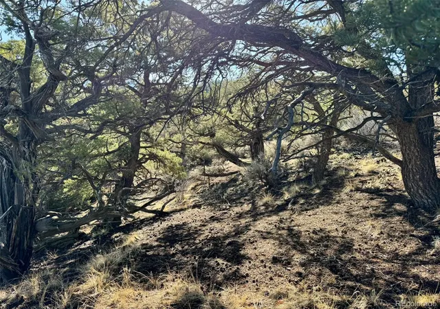 Photo 2 of Land for sale at Lot 2336 Sandoval Rd, Fort Garland, CO 81133 | MLS# 4508735 | Listing updated on 2026-09-27