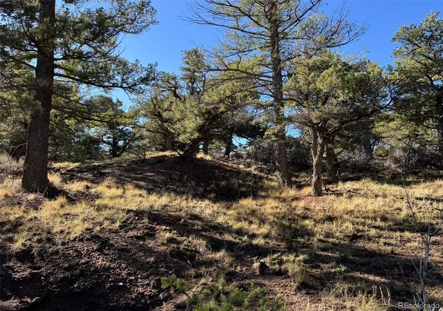 Photo 3 of Land for sale at Lot 2336 Sandoval Rd, Fort Garland, CO 81133 | MLS# 4508735 | Listing updated on 2026-09-27