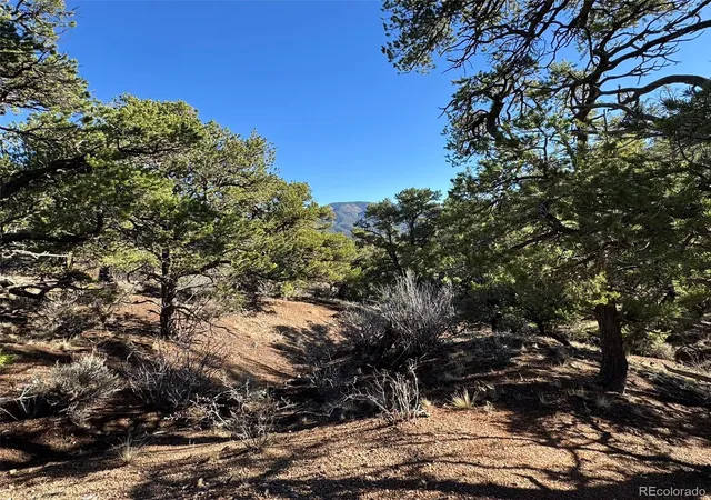 Photo 3 of Land for sale at Lot 2336 Sandoval Rd, Fort Garland, CO 81133 | MLS# 4508735 | Listing updated on 2026-09-27