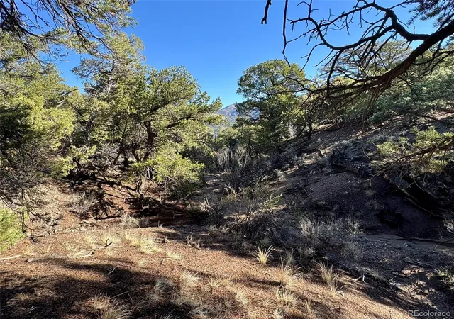 Photo 4 of Land for sale at Lot 2336 Sandoval Rd, Fort Garland, CO 81133 | MLS# 4508735 | Listing updated on 2026-09-27