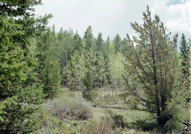 Photo 1 of Land for sale at 6669 Battenburg Rd, Fort Garland, CO 81133 | MLS# 4437817 | Listing updated on 2026-09-27