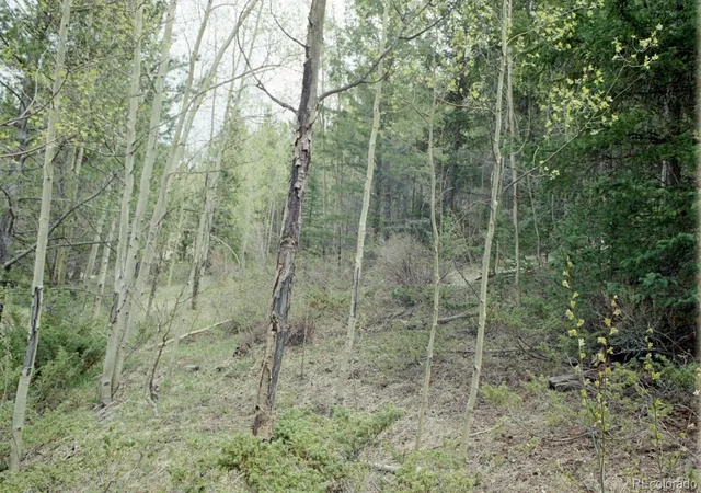 Photo 2 of Land for sale at 6669 Battenburg Rd, Fort Garland, CO 81133 | MLS# 4437817 | Listing updated on 2026-09-27