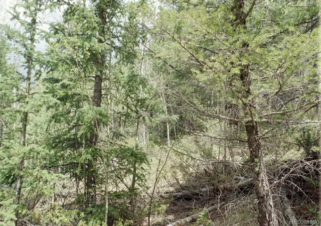 Photo 3 of Land for sale at 6669 Battenburg Rd, Fort Garland, CO 81133 | MLS# 4437817 | Listing updated on 2026-09-27