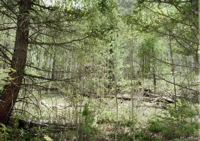 Photo 3 of Land for sale at 6669 Battenburg Rd, Fort Garland, CO 81133 | MLS# 4437817 | Listing updated on 2026-09-27