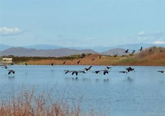 Photo 2 of Land for sale at 14454 Co 159, San Luis, CO 81152 | MLS# 7283636 | Listing updated on 2026-09-28
