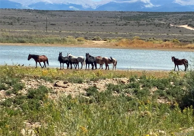 Photo 1 of Land for sale at 14454 Co 159, San Luis, CO 81152 | MLS# 7283636 | Listing updated on 2026-09-28