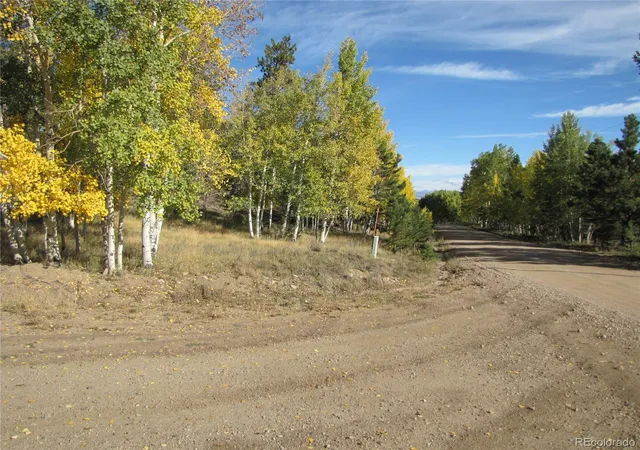 Photo 3 of Land for sale at Lot 666 Bellows Rd, Hartsel, CO 80449 | MLS# 7879981 | Listing updated on 2026-09-28
