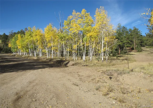Photo 3 of Land for sale at Lot 666 Bellows Rd, Hartsel, CO 80449 | MLS# 7879981 | Listing updated on 2026-09-28