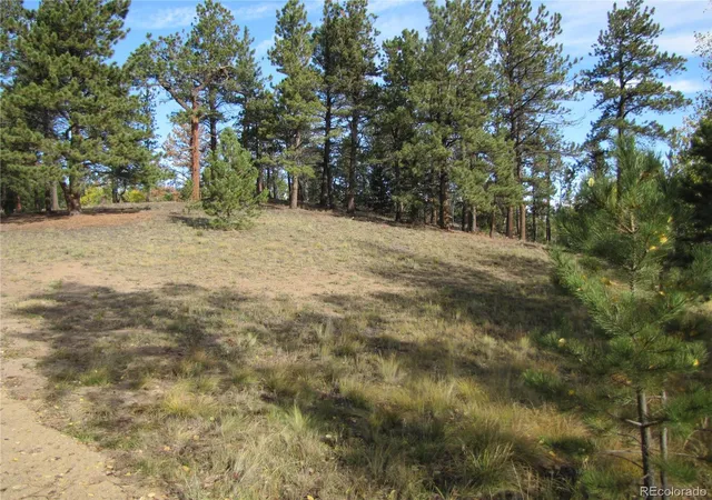 Photo 4 of Land for sale at Lot 666 Bellows Rd, Hartsel, CO 80449 | MLS# 7879981 | Listing updated on 2026-09-28