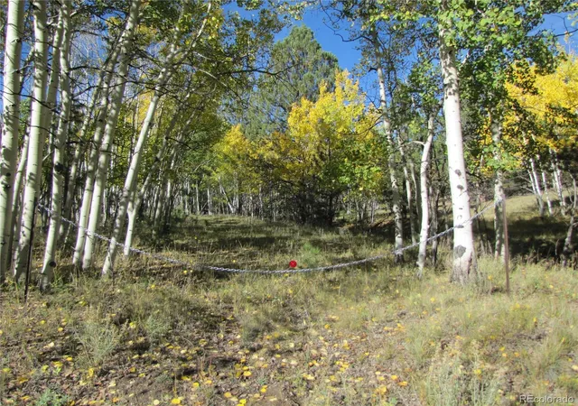 Photo 1 of Land for sale at Lot 700 Campfire Rd, Hartsel, CO 80449 | MLS# 5167541 | Listing updated on 2026-09-28