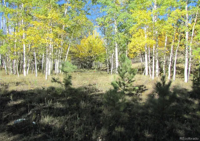 Photo 2 of Land for sale at Lot 700 Campfire Rd, Hartsel, CO 80449 | MLS# 5167541 | Listing updated on 2026-09-28