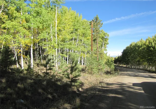 Photo 3 of Land for sale at Lot 700 Campfire Rd, Hartsel, CO 80449 | MLS# 5167541 | Listing updated on 2026-09-28