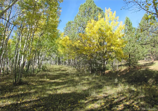 Photo 4 of Land for sale at Lot 700 Campfire Rd, Hartsel, CO 80449 | MLS# 5167541 | Listing updated on 2026-09-28