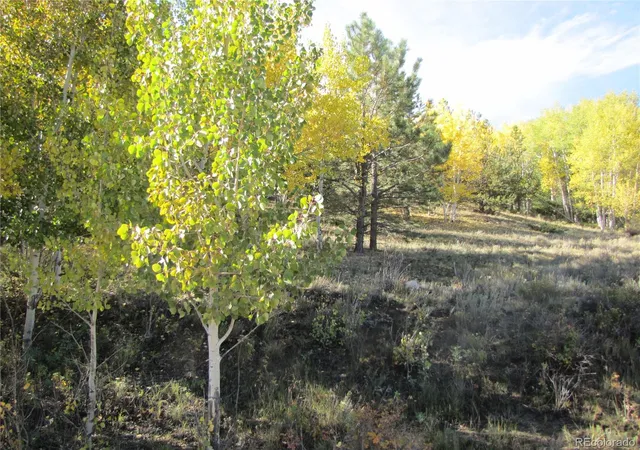 Photo 2 of Land for sale at Lot 699 Campfire Rd, Hartsel, CO 80449 | MLS# 5404423 | Listing updated on 2026-09-28