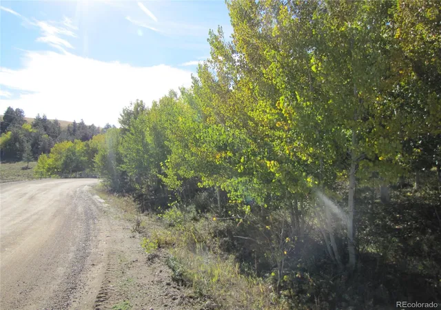 Photo 3 of Land for sale at Lot 699 Campfire Rd, Hartsel, CO 80449 | MLS# 5404423 | Listing updated on 2026-09-28