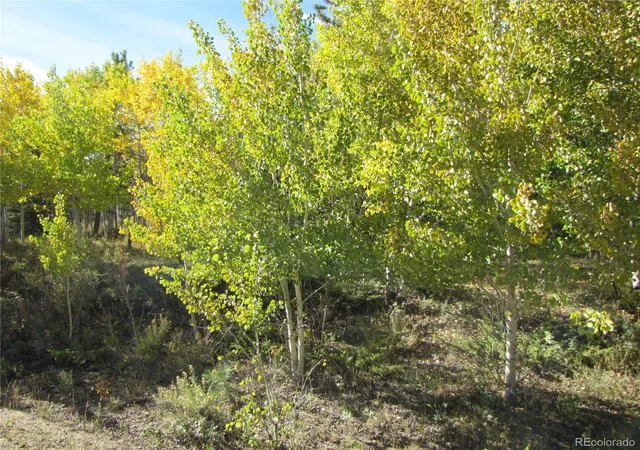 Photo 3 of Land for sale at Lot 699 Campfire Rd, Hartsel, CO 80449 | MLS# 5404423 | Listing updated on 2026-09-28