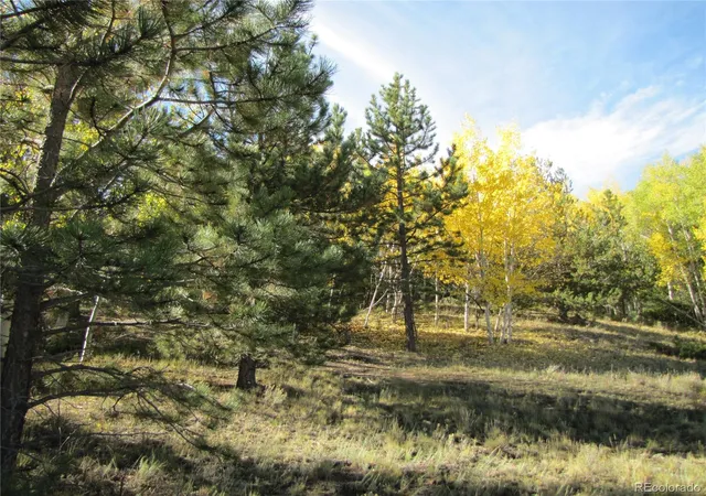 Photo 4 of Land for sale at Lot 699 Campfire Rd, Hartsel, CO 80449 | MLS# 5404423 | Listing updated on 2026-09-28