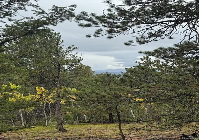 Photo 1 of Land for sale at 7935 County Rd 51, Divide, CO 80814 | MLS# 2744313 | Listing updated on 2026-09-29