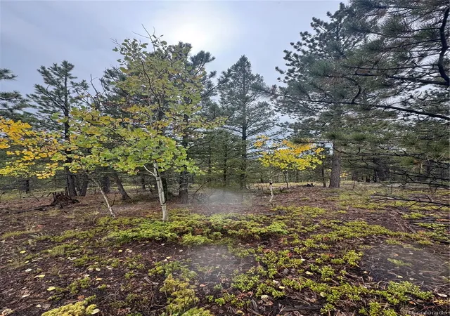 Photo 2 of Land for sale at 7935 County Rd 51, Divide, CO 80814 | MLS# 2744313 | Listing updated on 2026-09-29