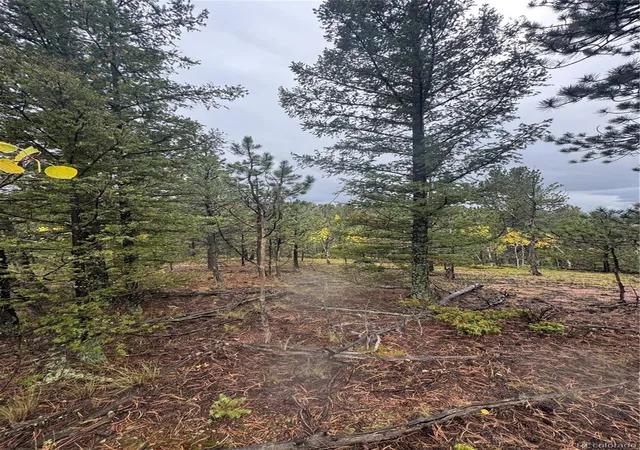 Photo 3 of Land for sale at 7935 County Rd 51, Divide, CO 80814 | MLS# 2744313 | Listing updated on 2026-09-29