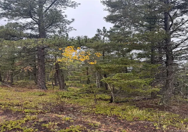 Photo 3 of Land for sale at 7935 County Rd 51, Divide, CO 80814 | MLS# 2744313 | Listing updated on 2026-09-29