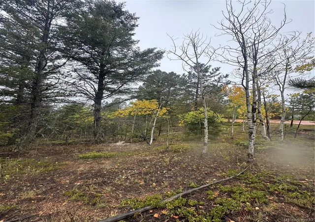 Photo 4 of Land for sale at 7935 County Rd 51, Divide, CO 80814 | MLS# 2744313 | Listing updated on 2026-09-29