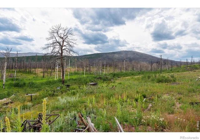 Land for sale at 529 Quartz Rd, Bellvue, CO 80512 | MLS# IR1069587