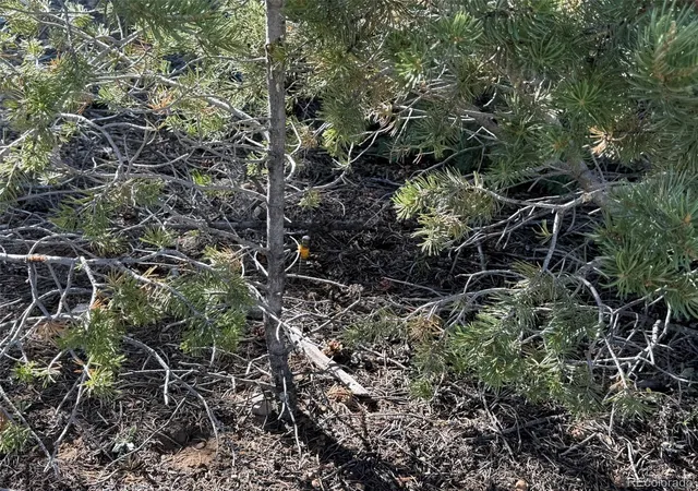 Photo 3 of Land for sale at 20 Molly Ln, Cotopaxi, CO 81223 | MLS# 4296115 | Listing updated on 2026-09-28
