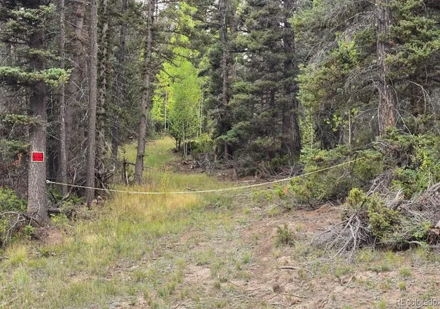 Photo 3 of Sale Pending at Lot 6363 Jaquez Rd, San Luis, CO 81152 | MLS# 3947579 | Listing updated on 2026-10-05